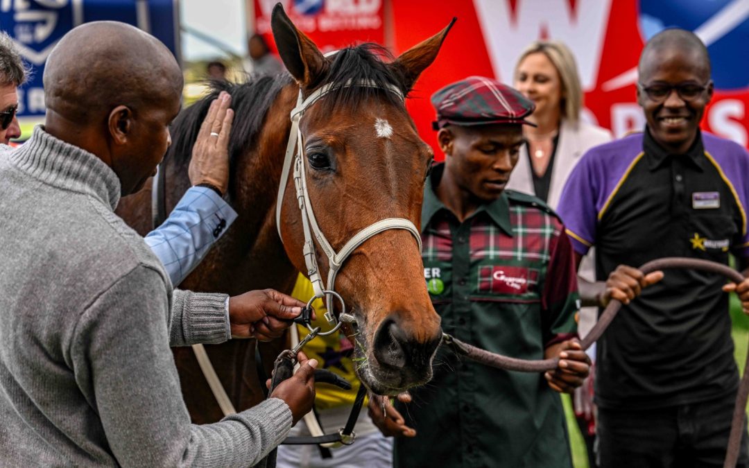 Greyville Graded Races – Saturday, 8 June