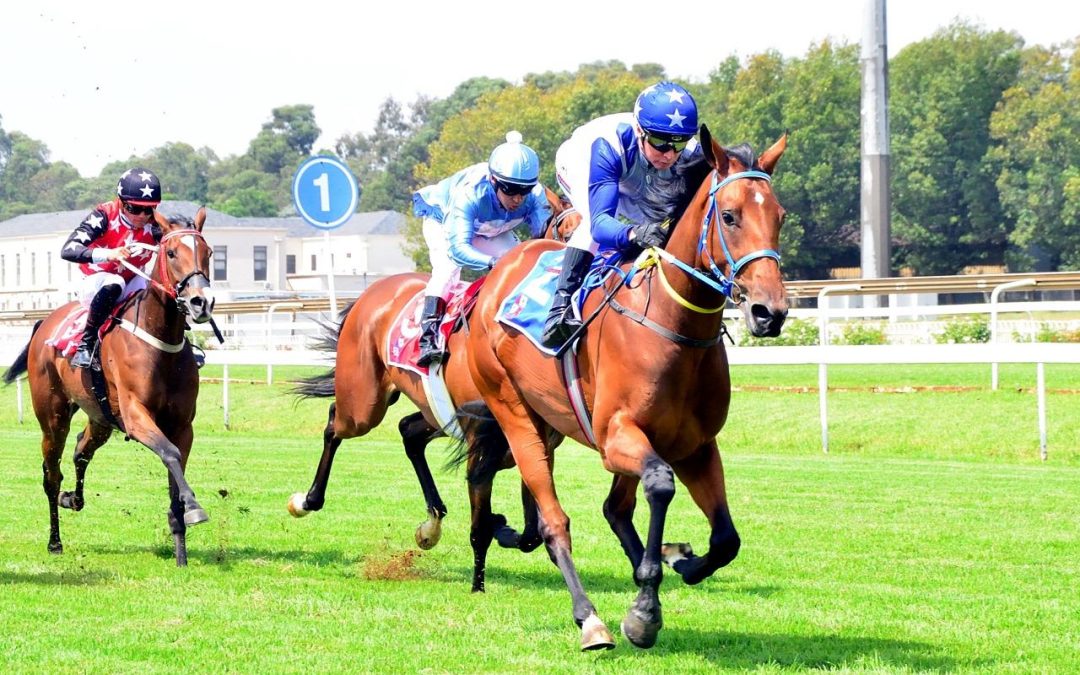 Hollywoodbets Gold Cup Day – Crawford Runners Preview