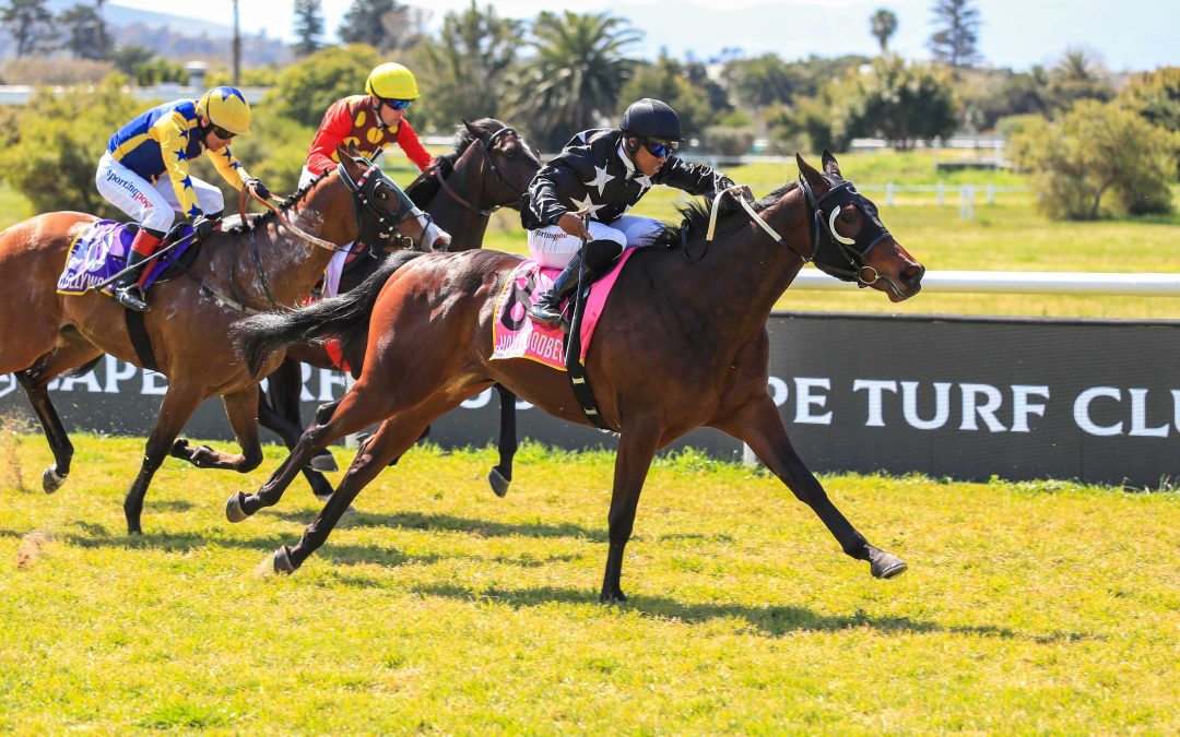Hollywoodbets Cape Guineas – Crawford Runners