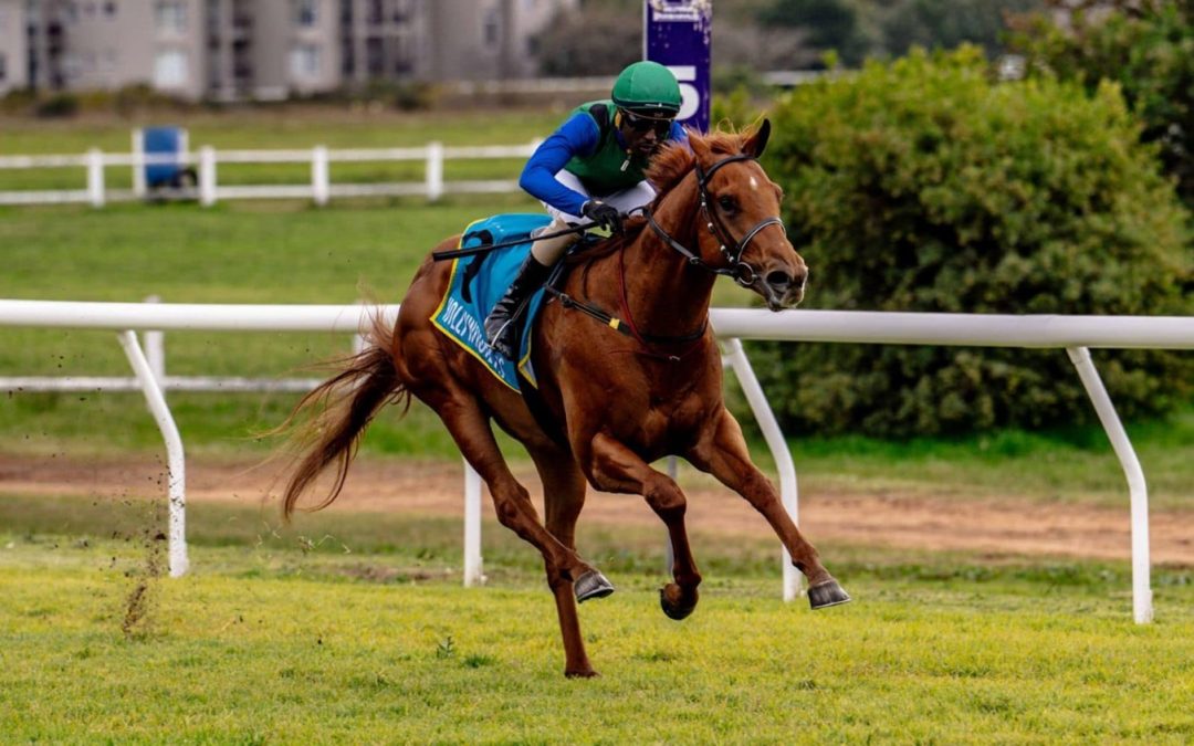 Met Day Runner Comments for Crawford Racing