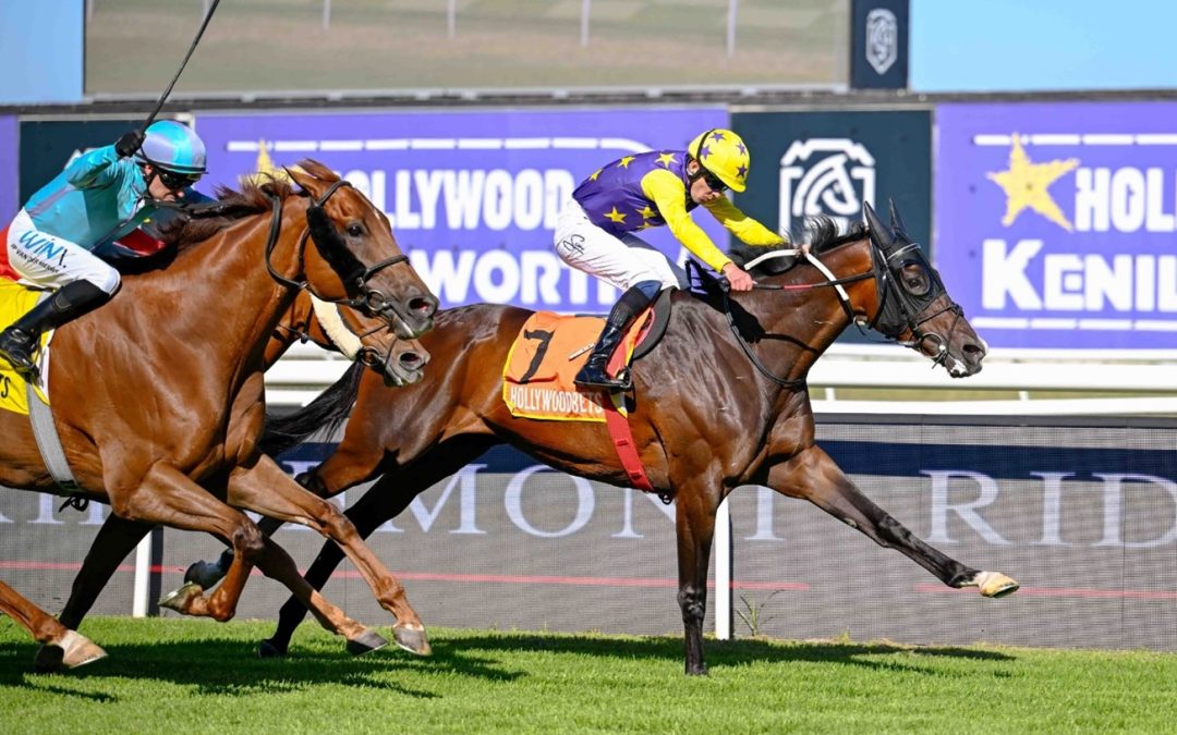 L’Ormarins King’s Plate Day – Crawford Racing Runners