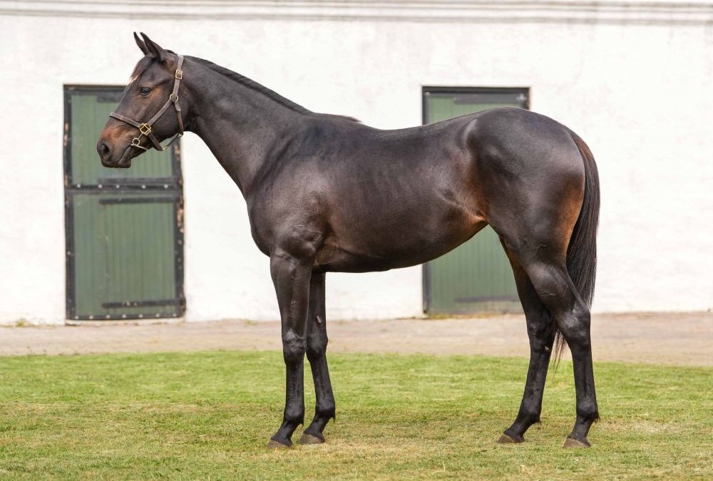 One World x Gimme Gimme Gimme