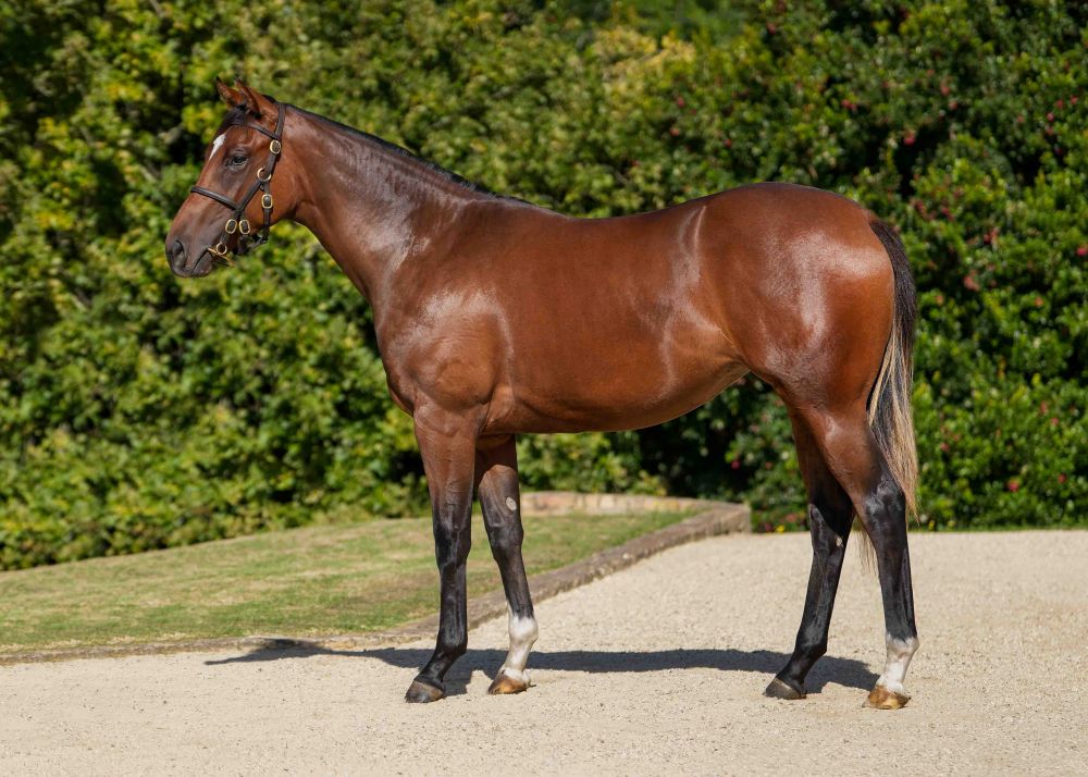 CR lot 90 - Twiceasfast - scaled