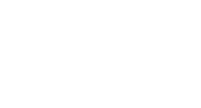 IDUN Logo