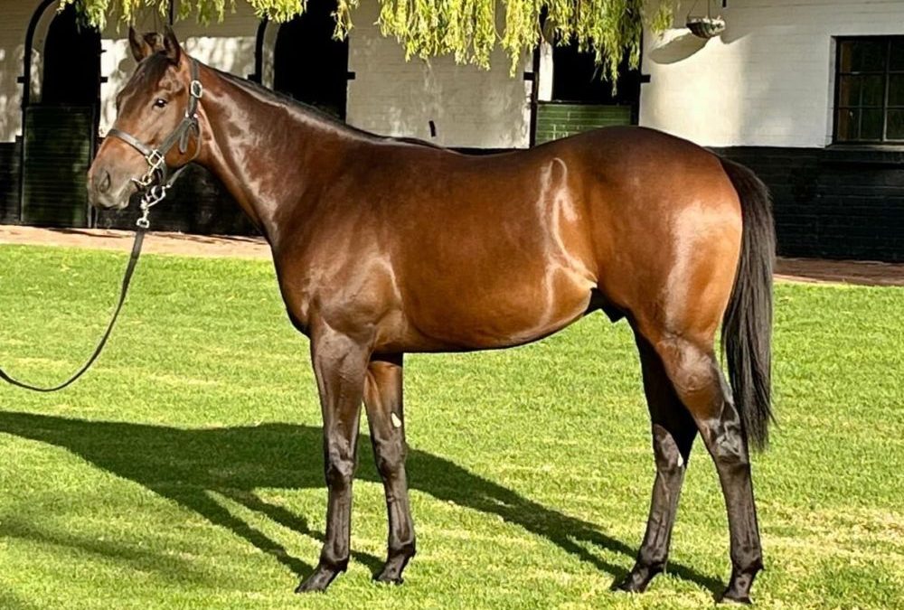 Digital Age (IRE) x Temenee