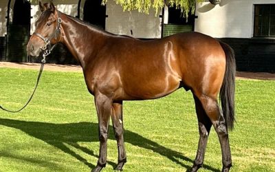 Digital Age (IRE) x Temenee