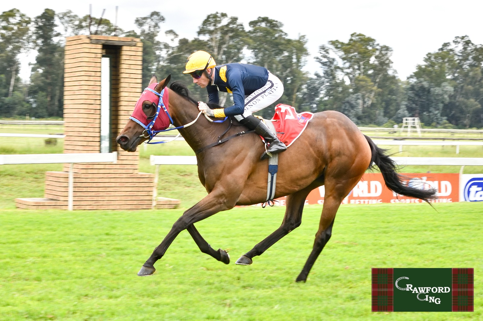 Duchess Of Paloma - 5 March (2)