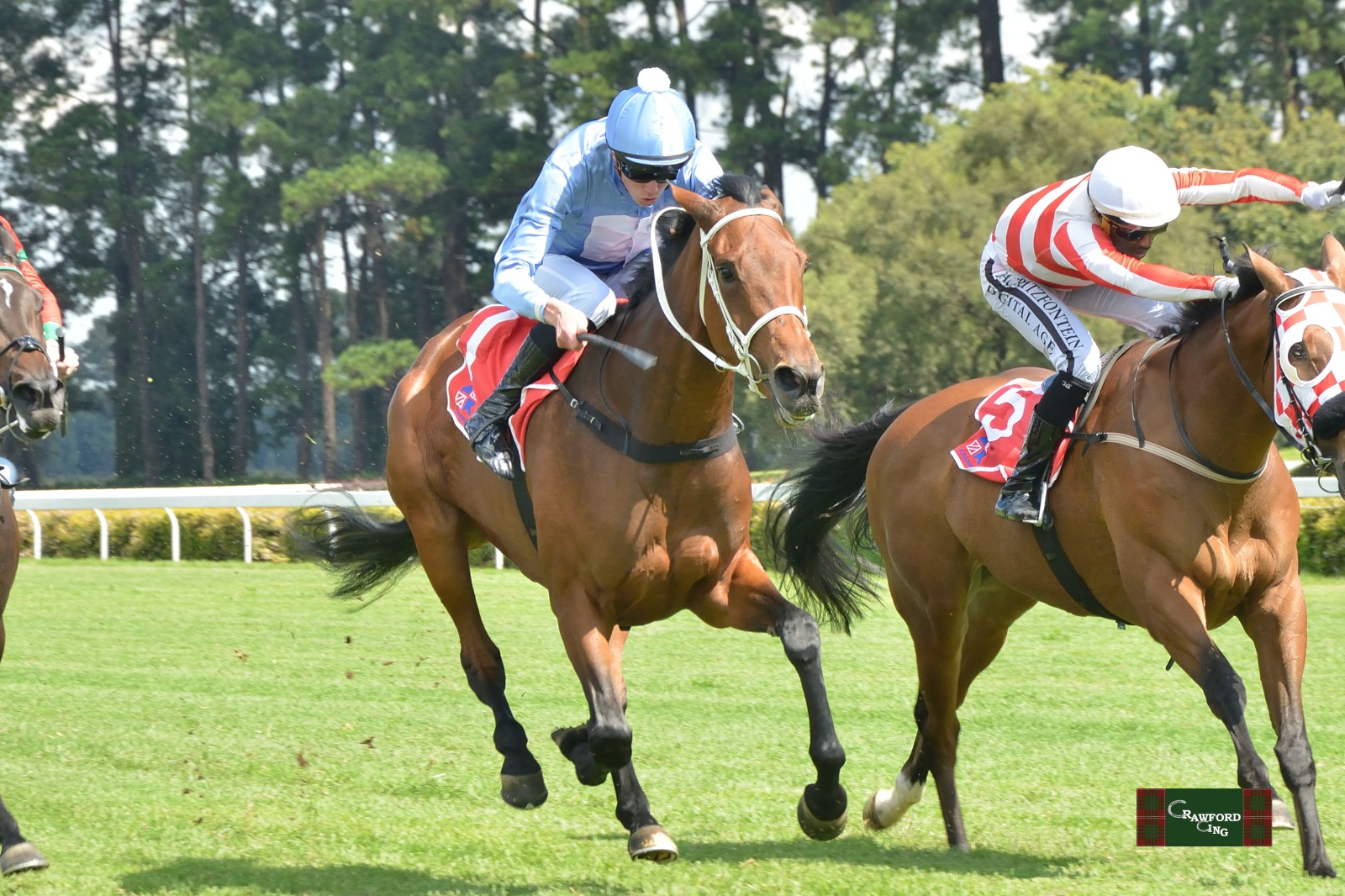 Future Gamble 31 March (3)