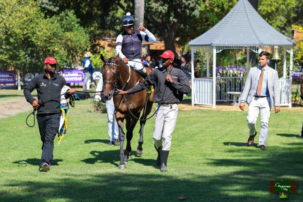 Lady Look Alike - 18 March (8)