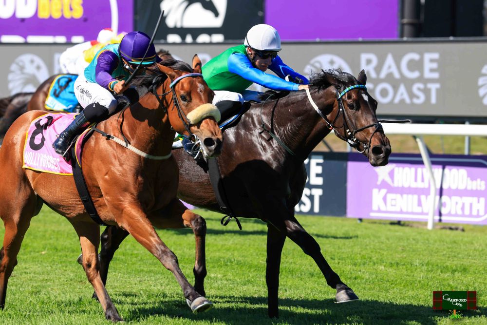 Somebody Somewhere - 30 March (1)