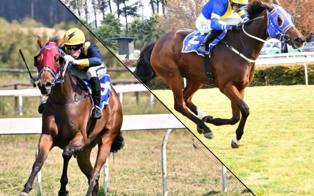 Woman’s World & Duchess Of Paloma