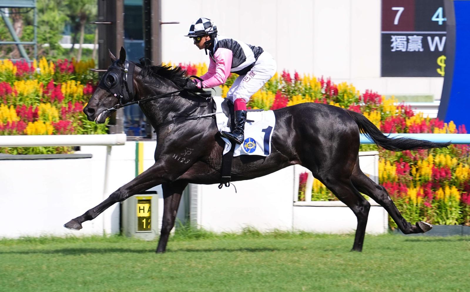 Beauty Missile 12 July (3)